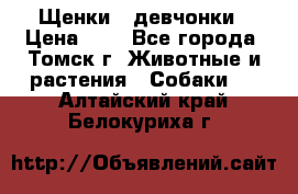 Щенки - девчонки › Цена ­ 2 - Все города, Томск г. Животные и растения » Собаки   . Алтайский край,Белокуриха г.